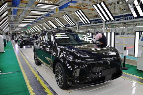 嵐圖汽車雙工廠火力全開，單日產能突破800輛，加速布局汽車市場
