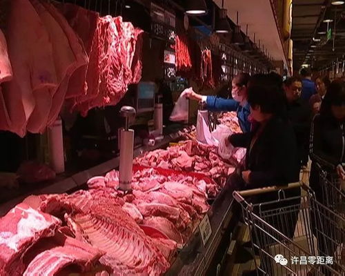 許昌市為禽畜產(chǎn)品配備“身份證”，開啟食用農(nóng)產(chǎn)品追溯新時代